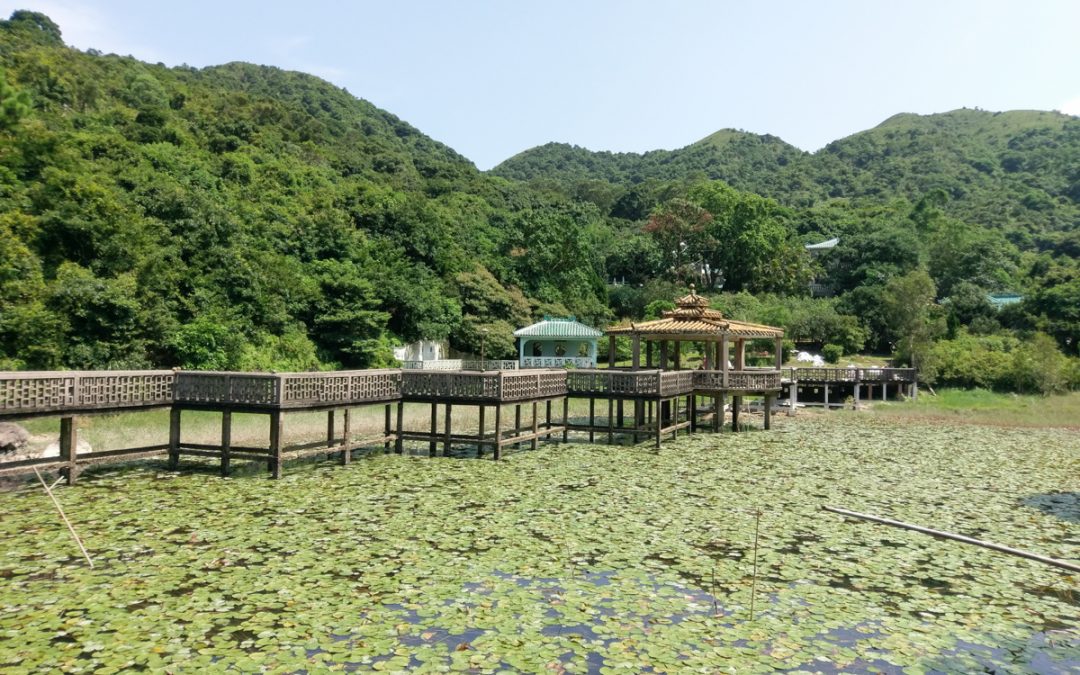 羌山 (龍仔悟園)