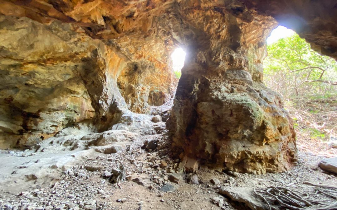 Robin’s Nest, Lin Ma Hang Lead Mines