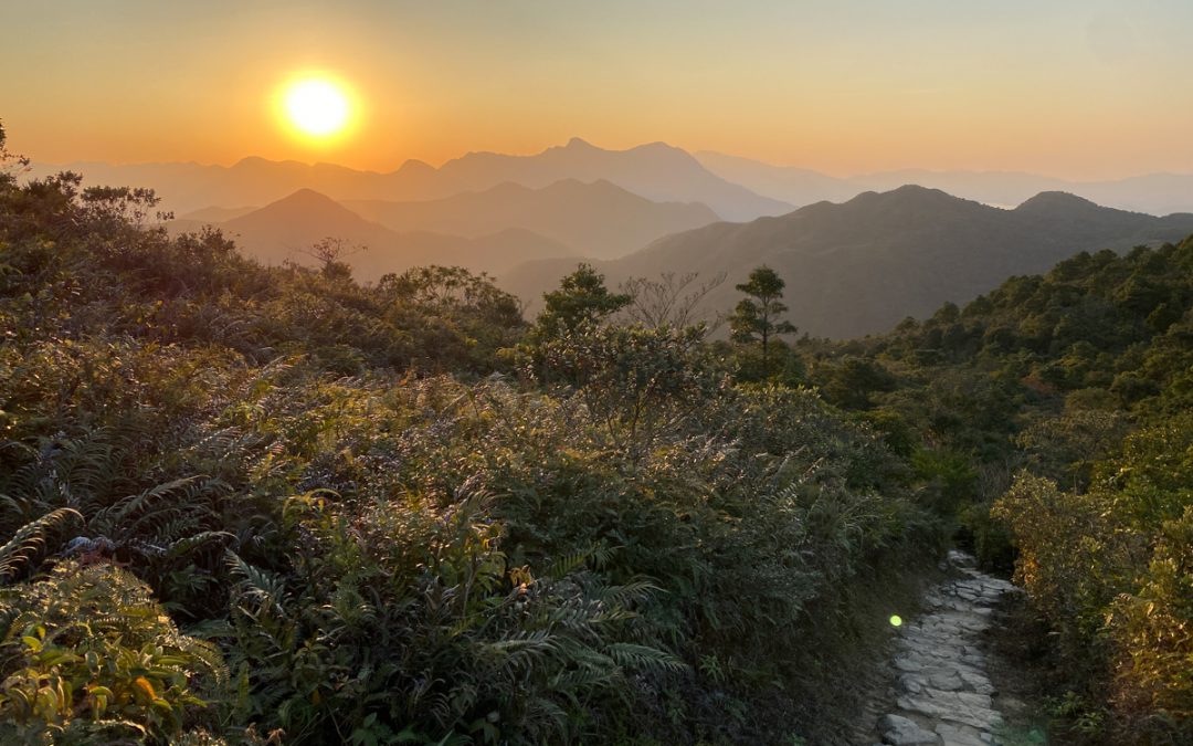 Kai Kung Shan (Maclehose Trail Section 3)