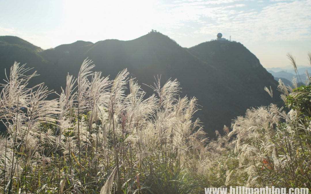 Tung Yeung Shan, Tung Shan, Tate’s Carin