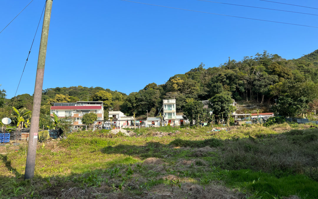 牛坳山．觀音山