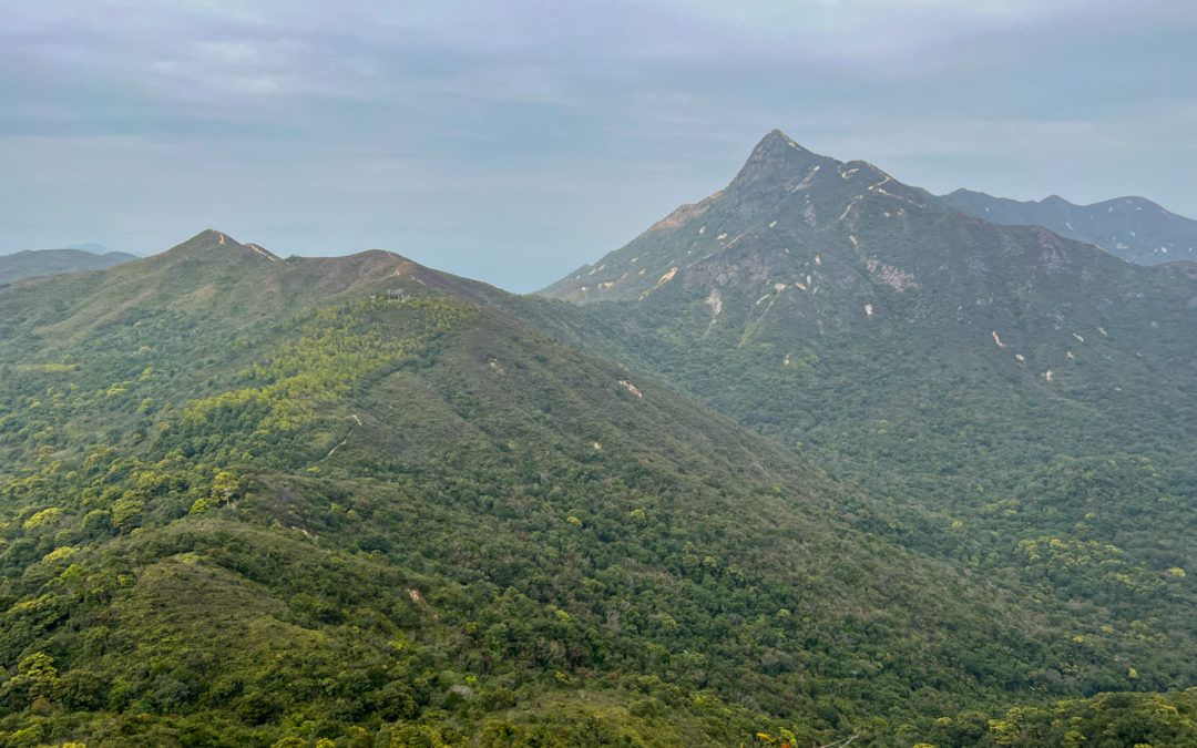 大枕蓋．大蚊山