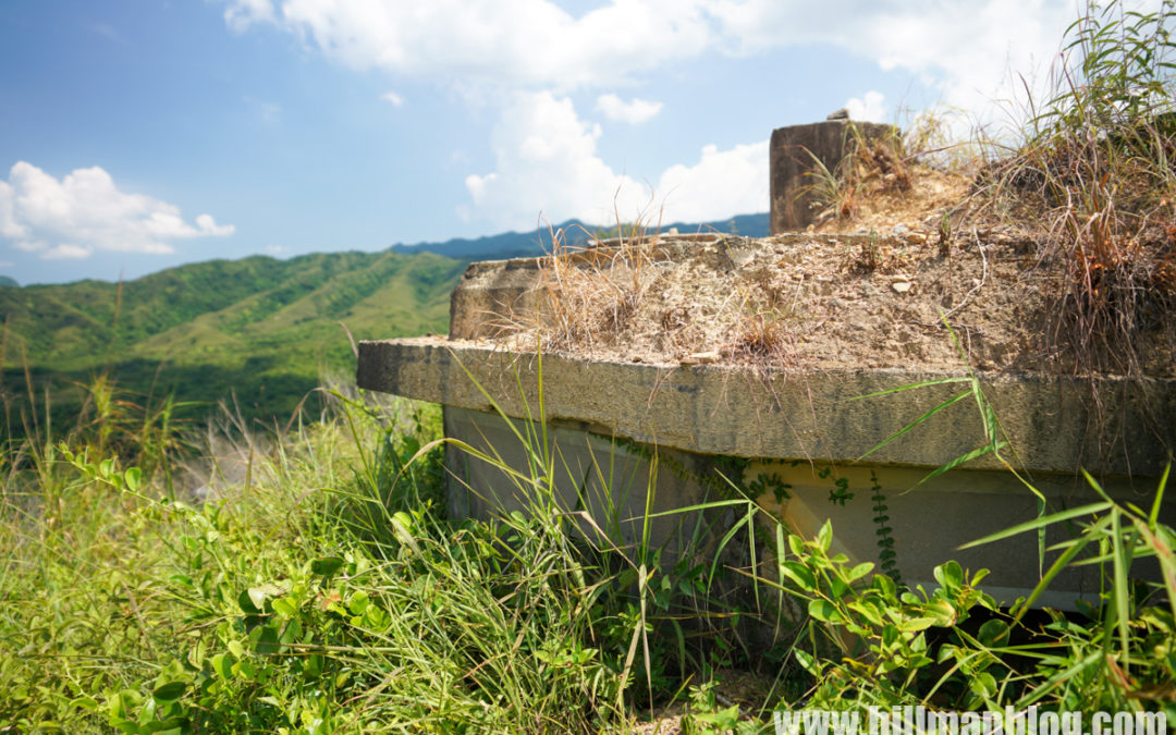 高峒